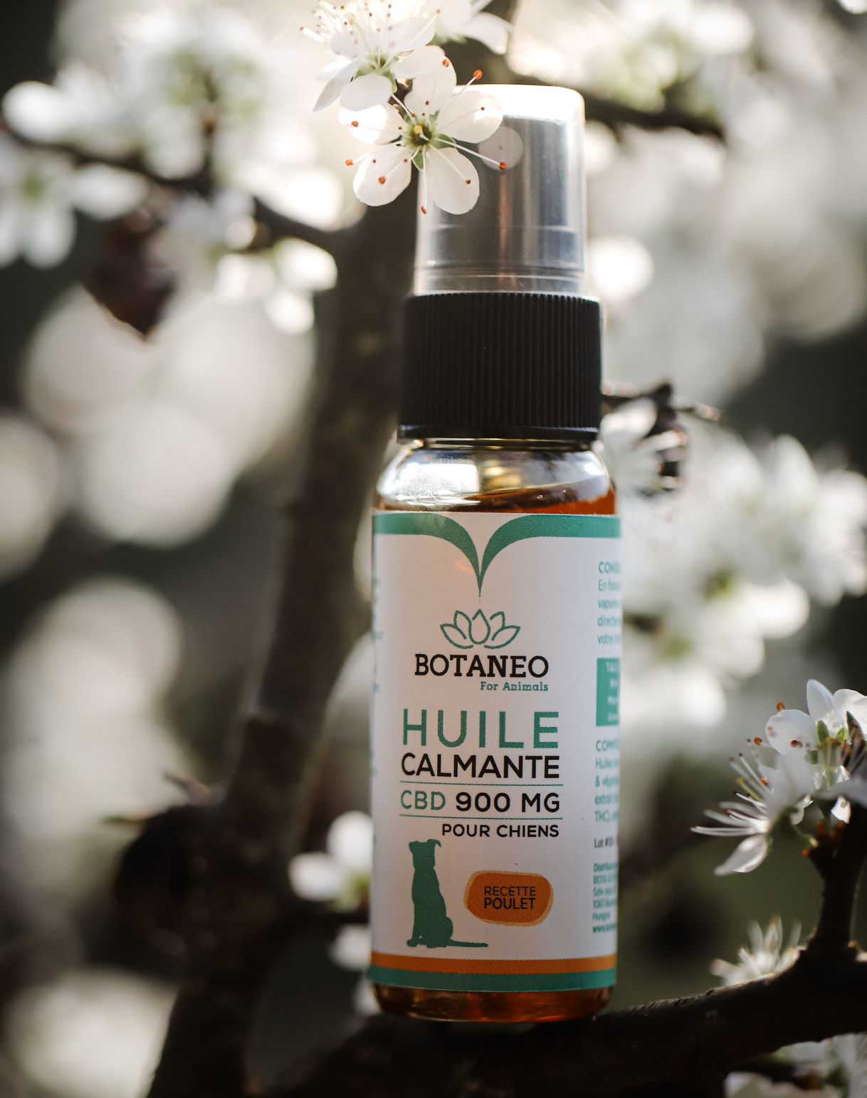 Huile CBD Chien - Poulet