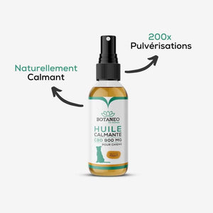 Huile CBD Chien - Boeuf