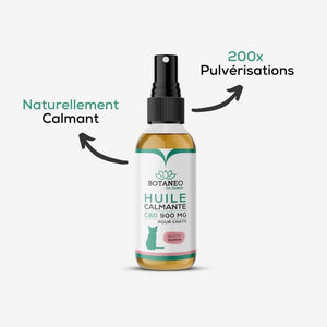 Huile CBD Chat - Saumon