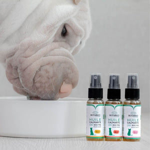 Huile CBD Chien - Poulet