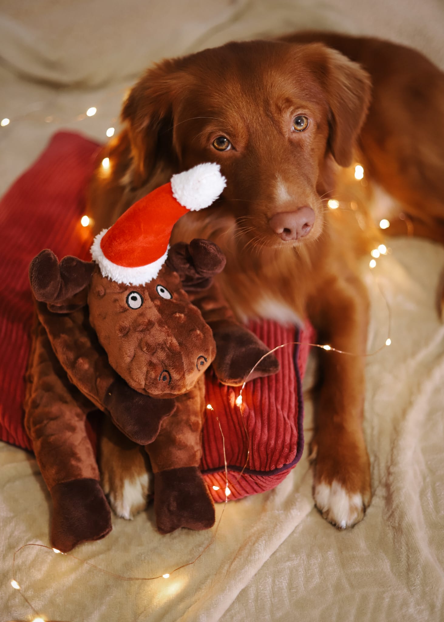 Peluche XXL Renne de Noël