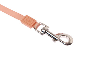Laisses extensibles Ferribiella