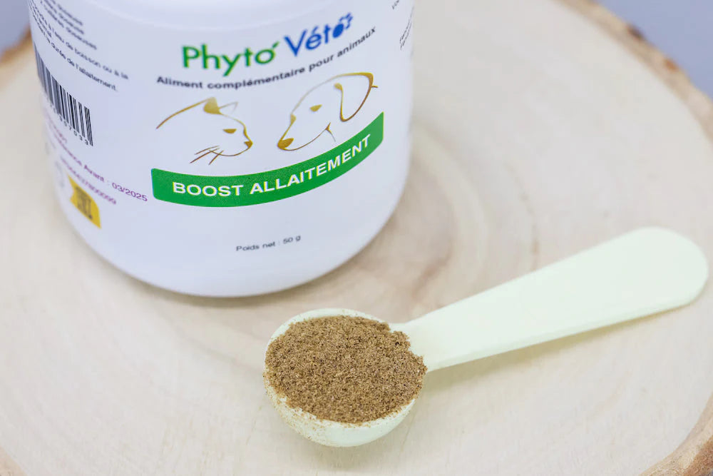 Boost allaitement poudre