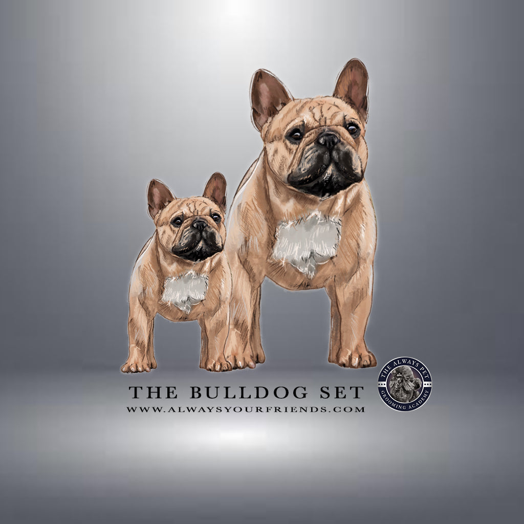 SET Bulldog