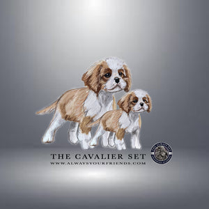 SET Cavalier