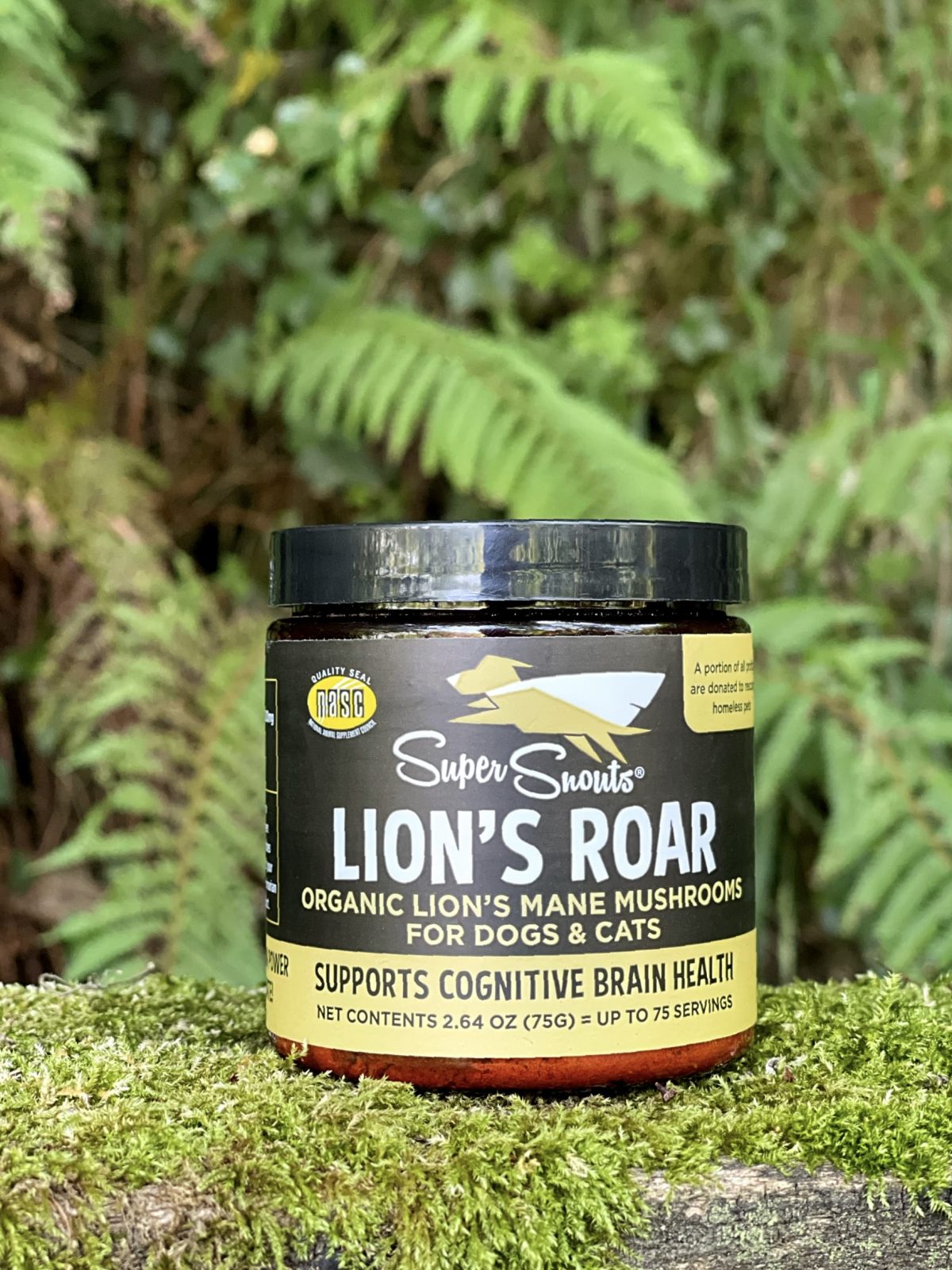 LION'S ROAR - Complexe COGNITIF/DIGESTIF