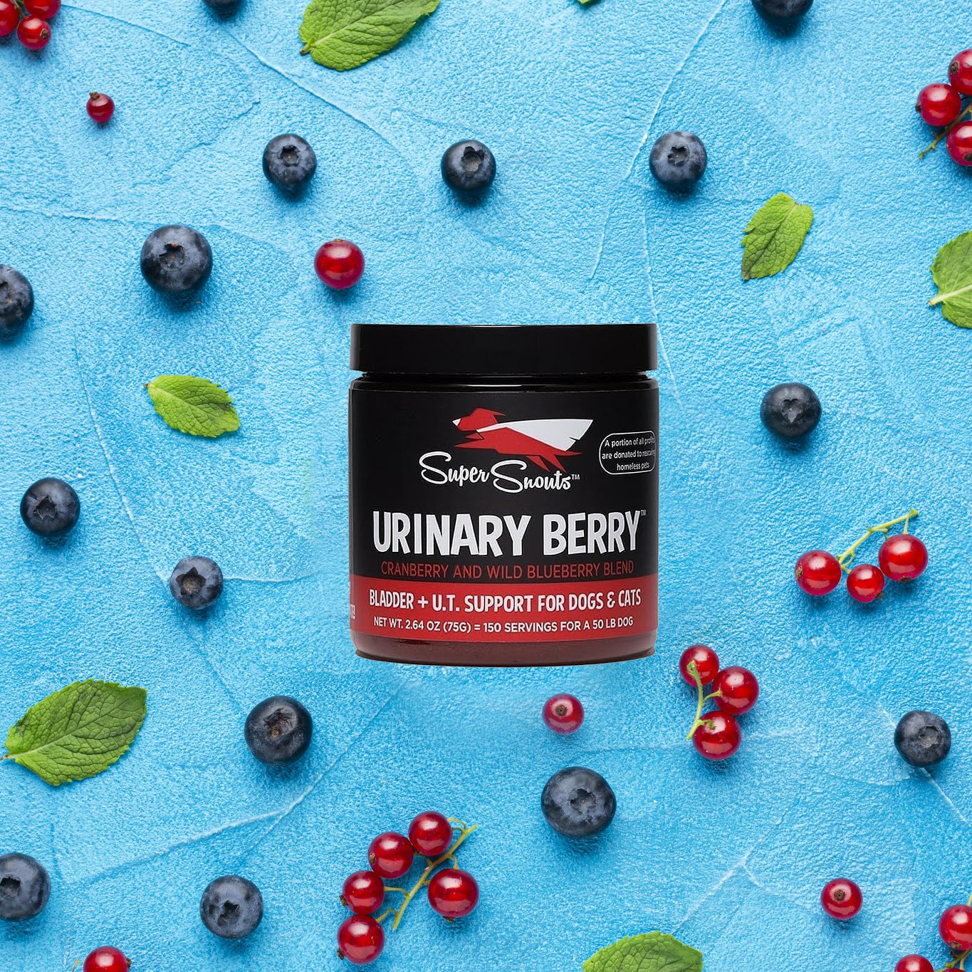 URINARY BERRY - Complexe Urinaire