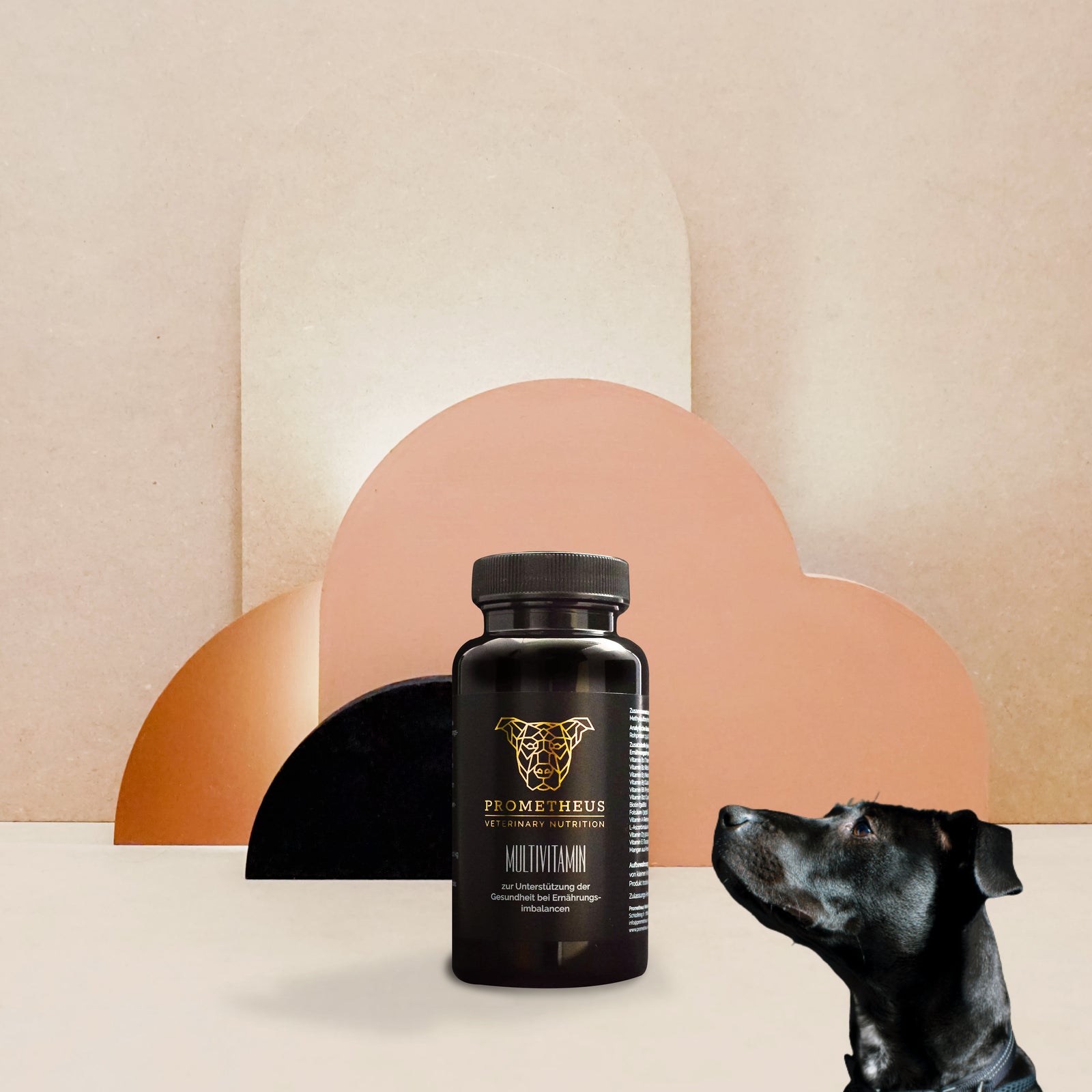 MULTI-VITAMINES - Booster de Vitalité