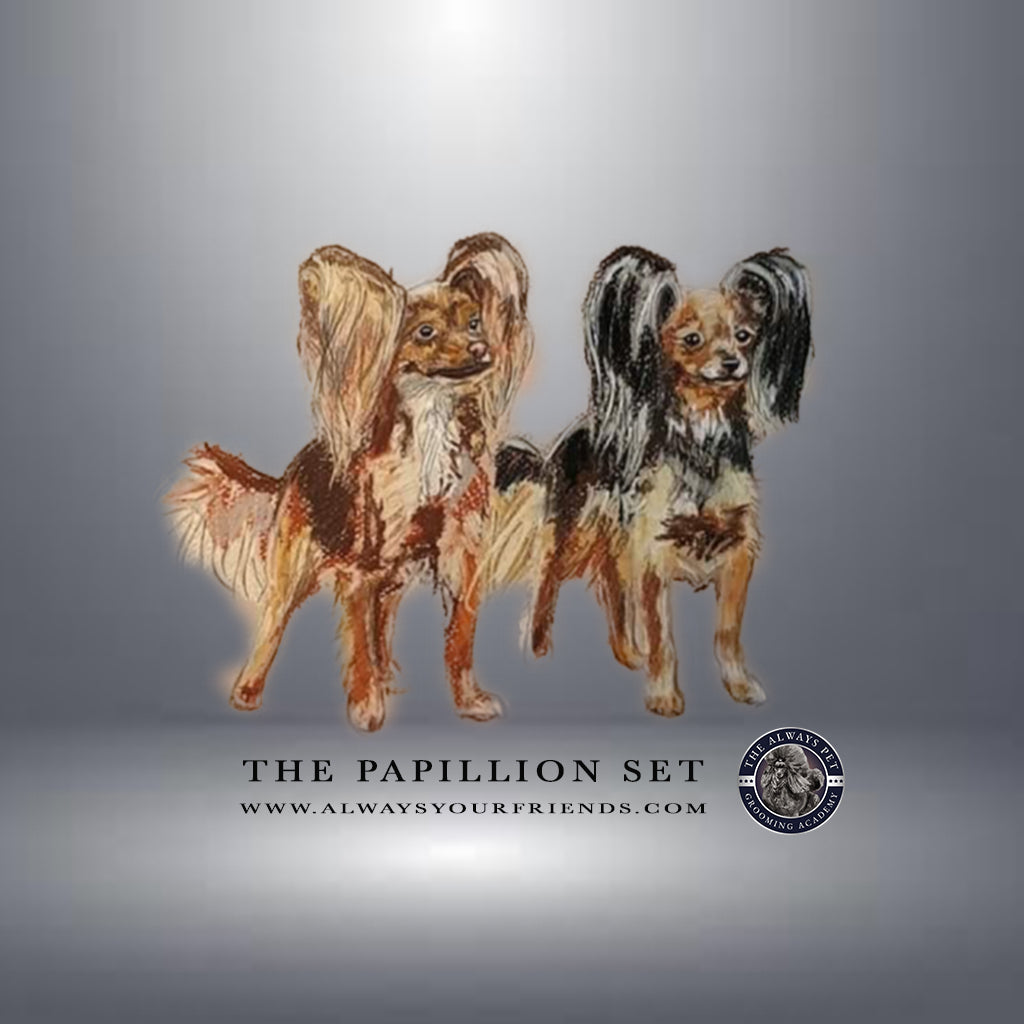 SET Papillon