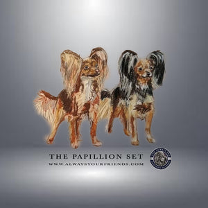 SET Papillon