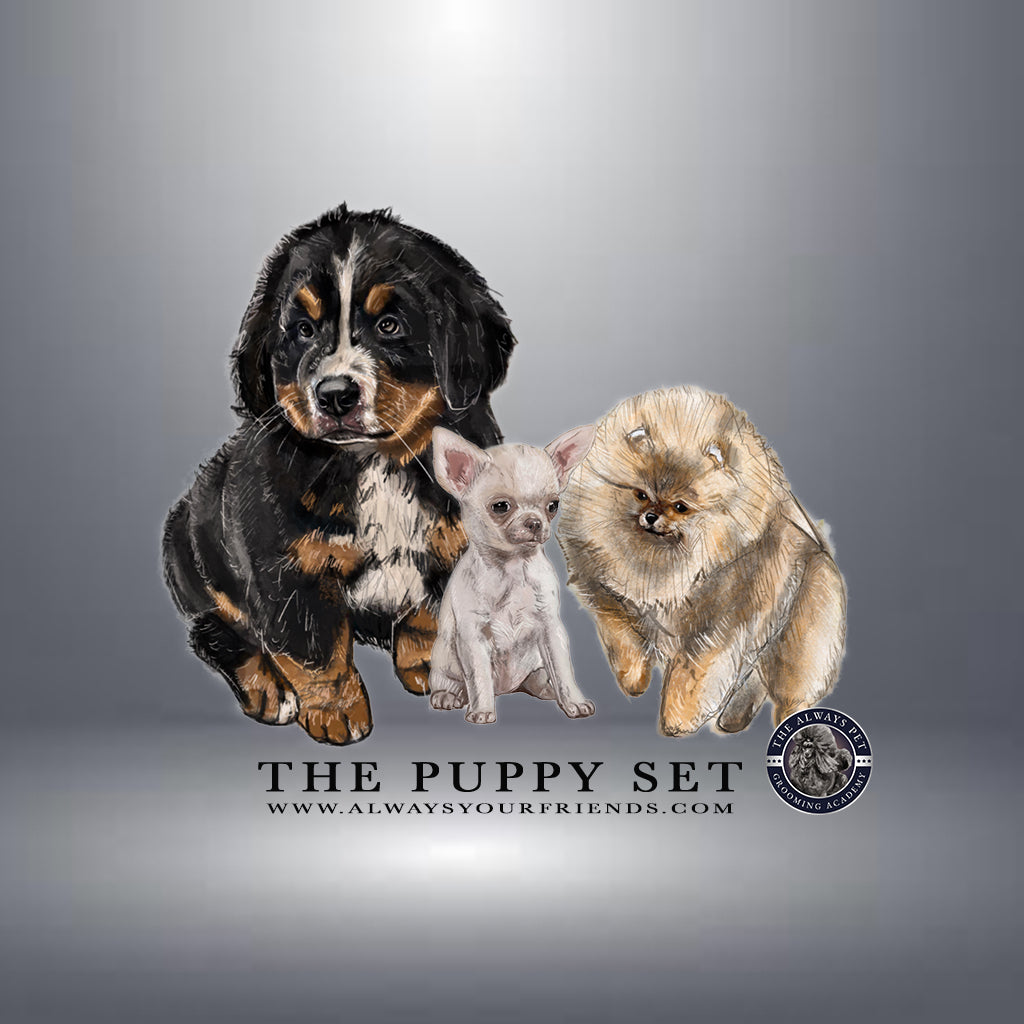 SET PUPPY