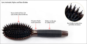 Brosse KENCHII en poil de sanglier - Grande